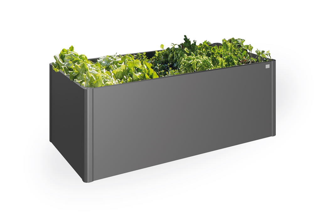 Raised Vegetable Bed